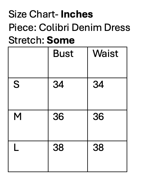 Colibri Denim Dress