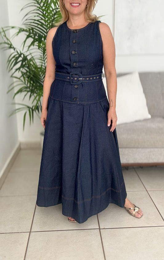 Colibri Denim Dress