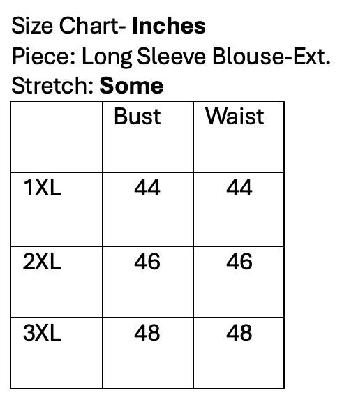 Long Sleeve Blouse- Curvy