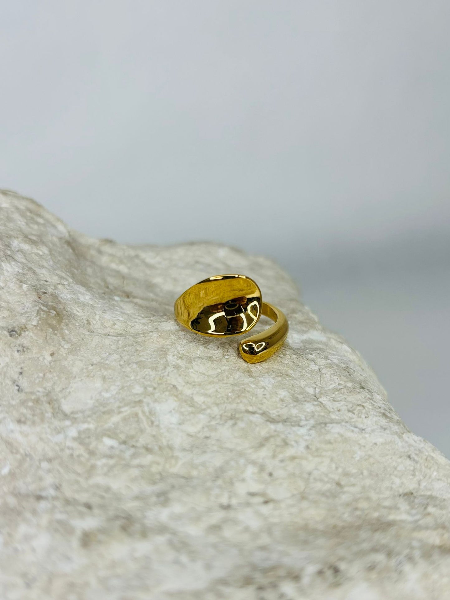 C O U R T E S Y Ring-Monarca