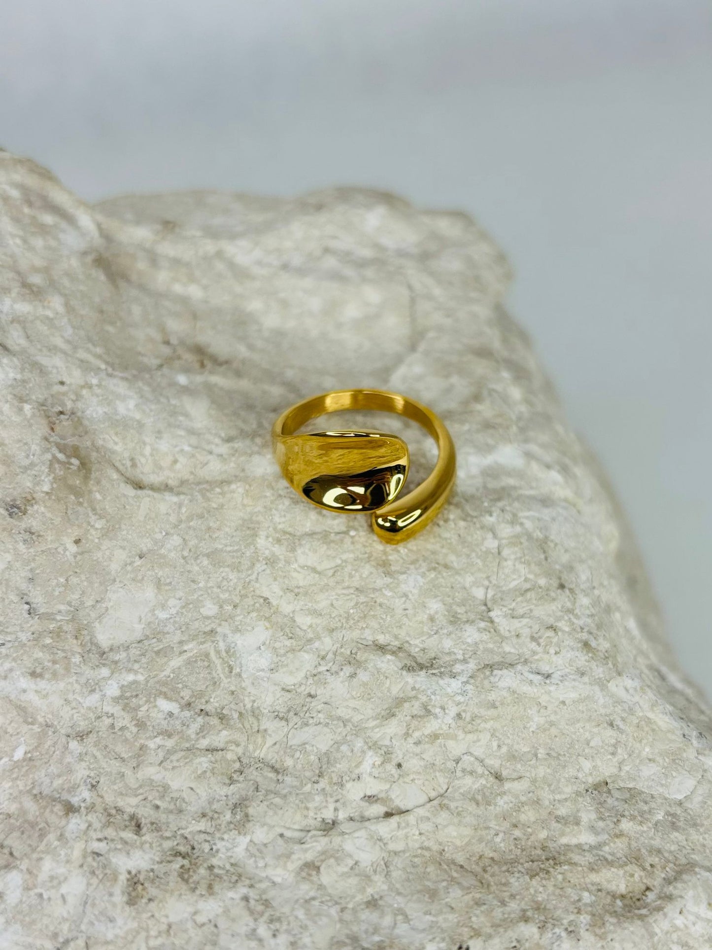 C O U R T E S Y Ring-Monarca