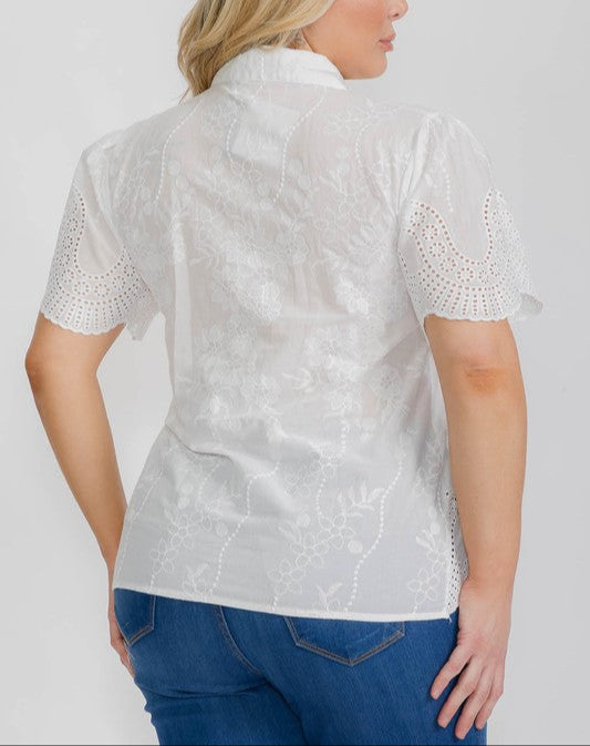 Cotton Top-Extraordinary