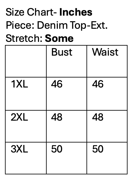Denim Top-Curvy