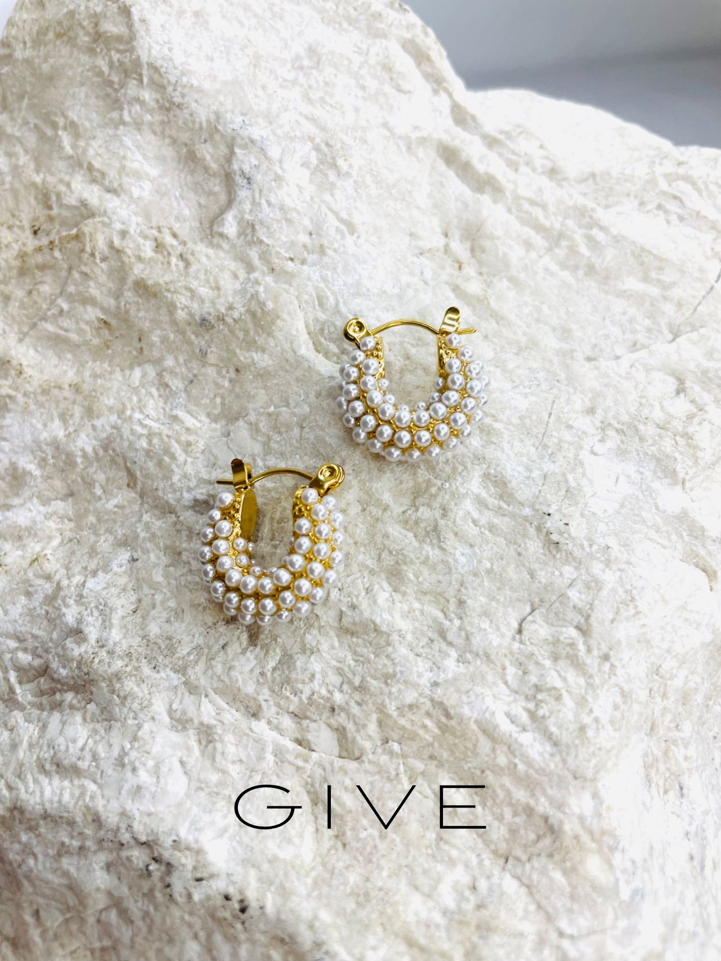 G I V E    Earring